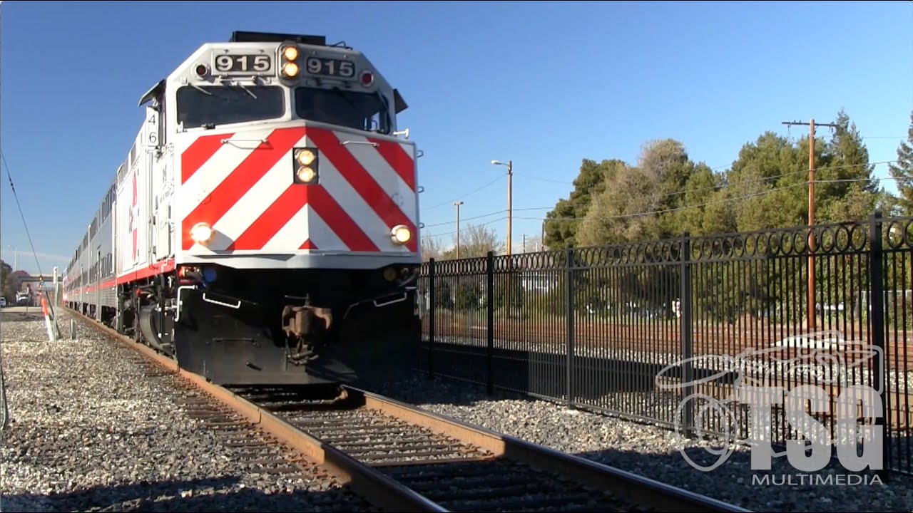 TSG Daily Train Catch 090423