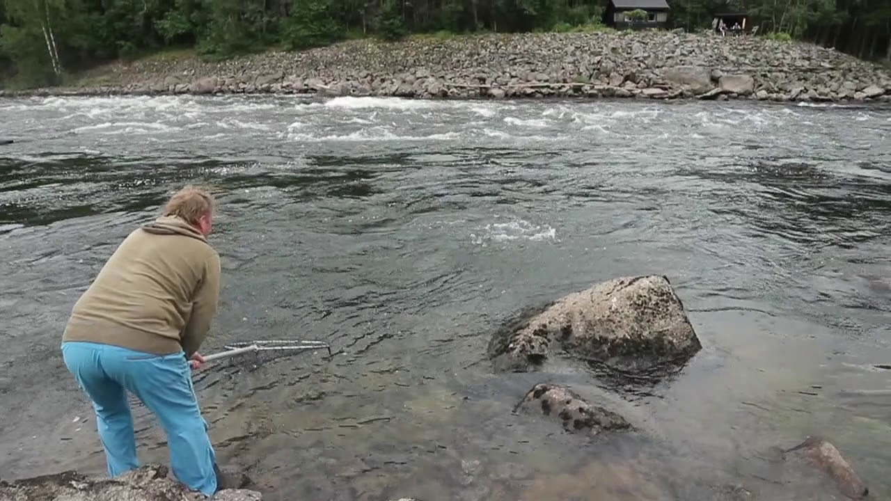 Den eldste fiskeren i Lågen (93) får laks!