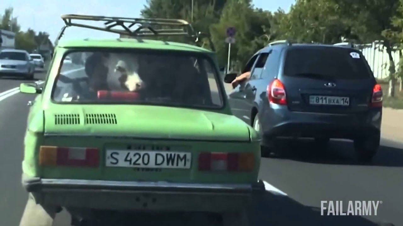 BEST EPIC FAIL /Win Compilation/ FAILS December 2014