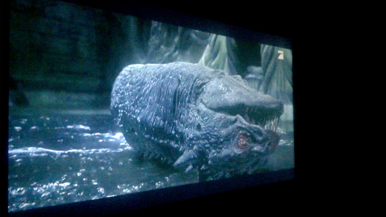 Harry Potter und die Kammer des Schreckens Harry vs Tom Riddle und den Basilisk (part 2/2 Deutsch)