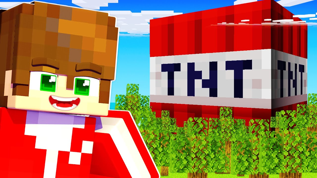 ΕΠΙΒΙΩΣΕ ΑΠΟ ΤΑ ΤΝΤ στο MINECRAFT;!