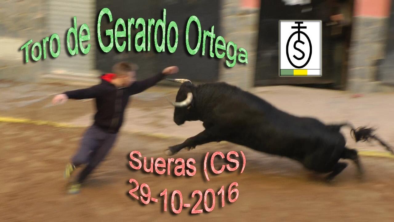 Sueras (CS)  29-10-2016  toro de Gerardo Ortega