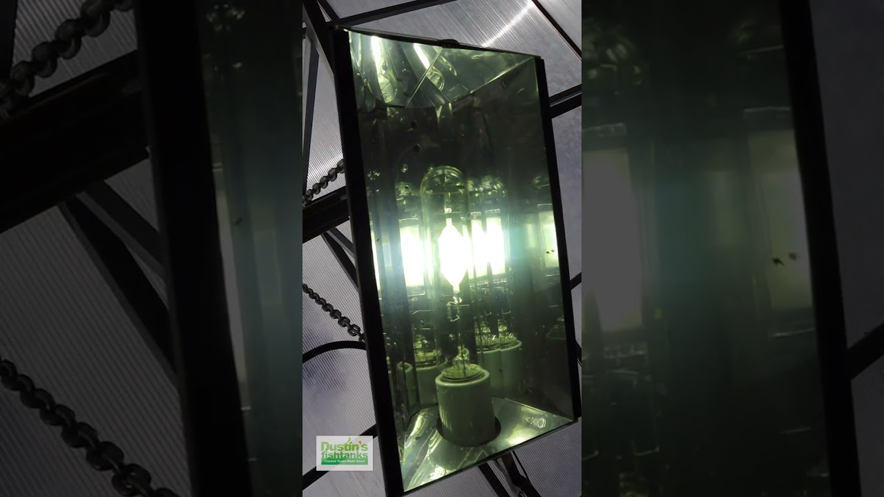 400 Watt Metal Halide draft02