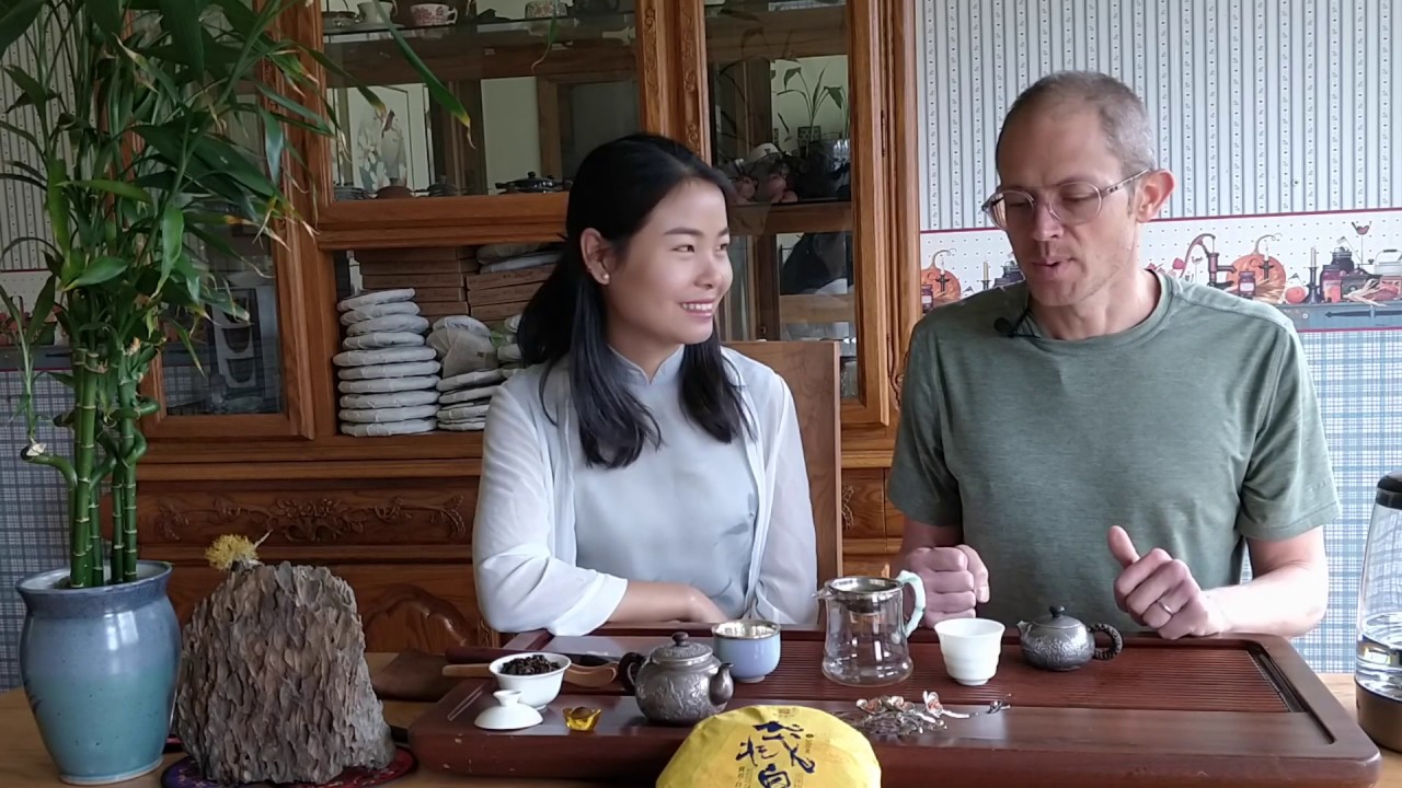 Scott and Xiao Yao Drink the Bao Feng Xiang Ji "6 Years Aged" Gong Mei White Tea Cake