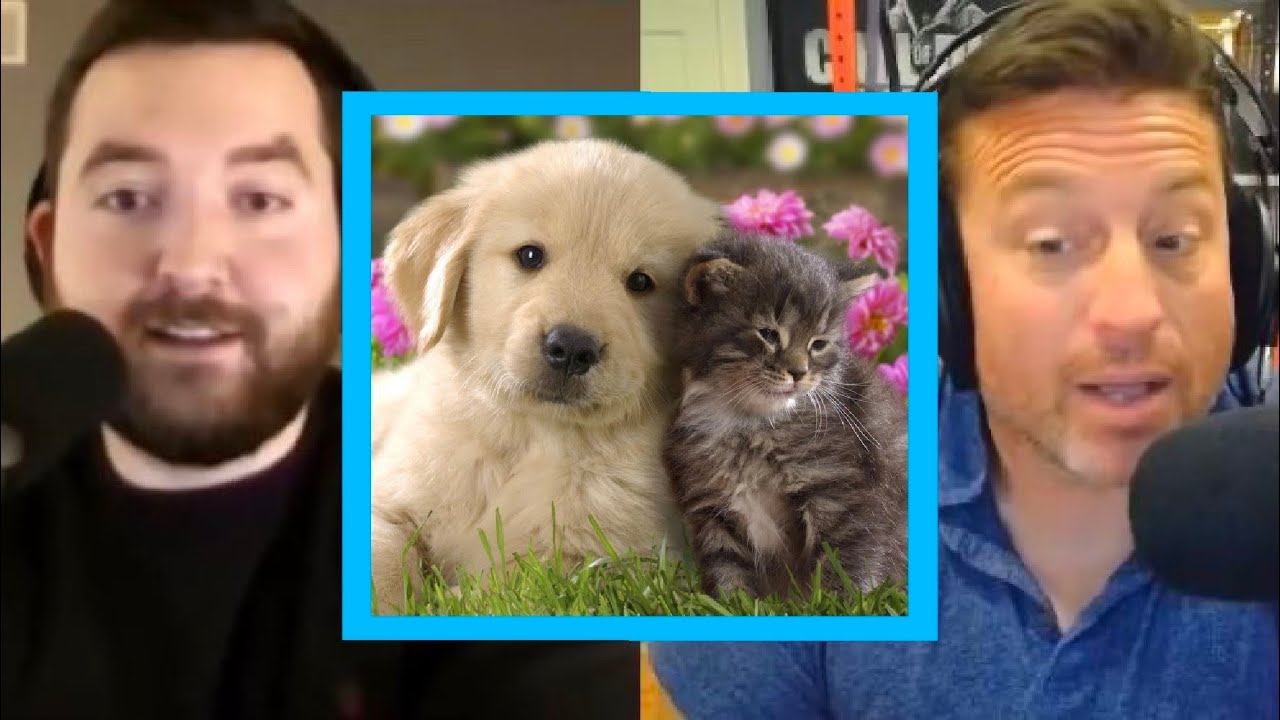 Taylor's Dogs & The Cat vs Dogs Debate | PKA