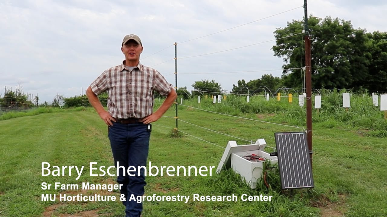Watermelon Project Deer Fence | Barry Eschenbrenner