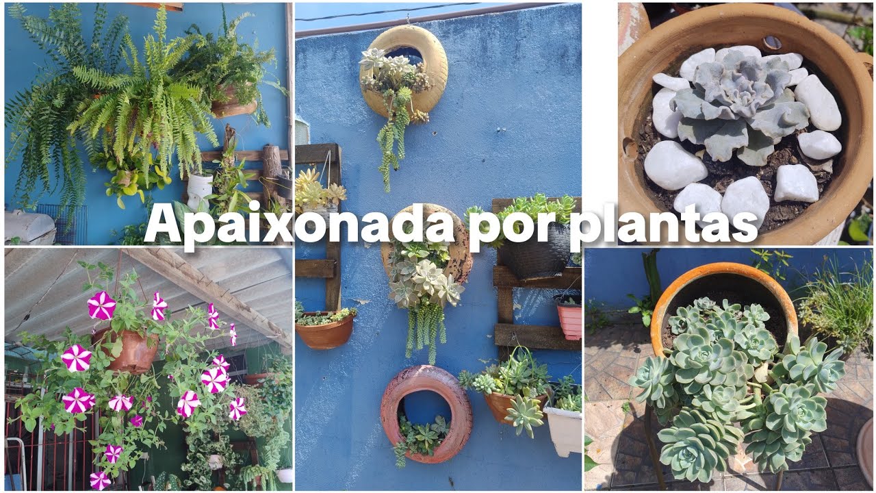  PLANTAS MINHA ALEGRIA CADA DIA MAIS JAMAIS  ME VEJO SEM ELAS 🪴🌷🌻
