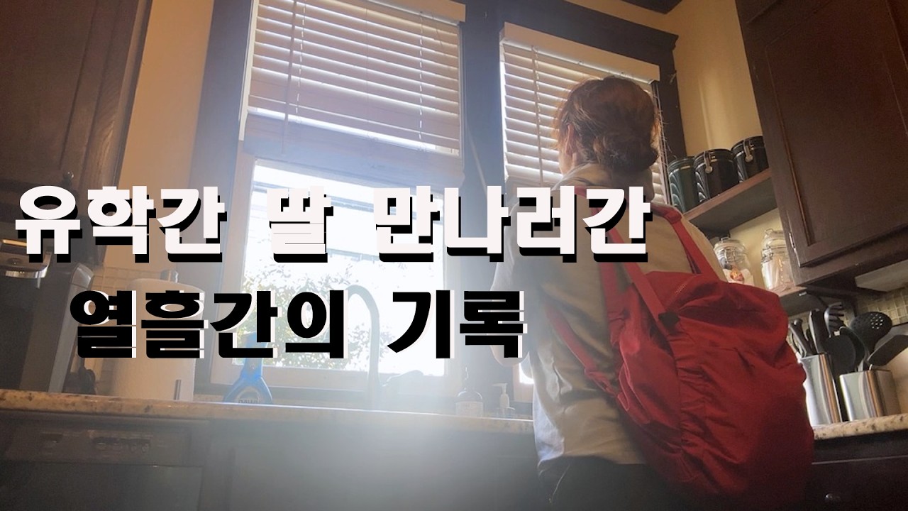 🇱🇷미국 유학간 큰딸 만나러간 열흘간의 기록/ 텍사스 웬만한 관광지,맛집 다 모았다