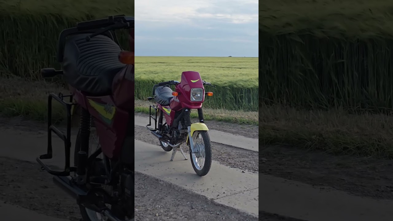 Erste wheelys mit der simson s53 #simson #s53 #wheelie