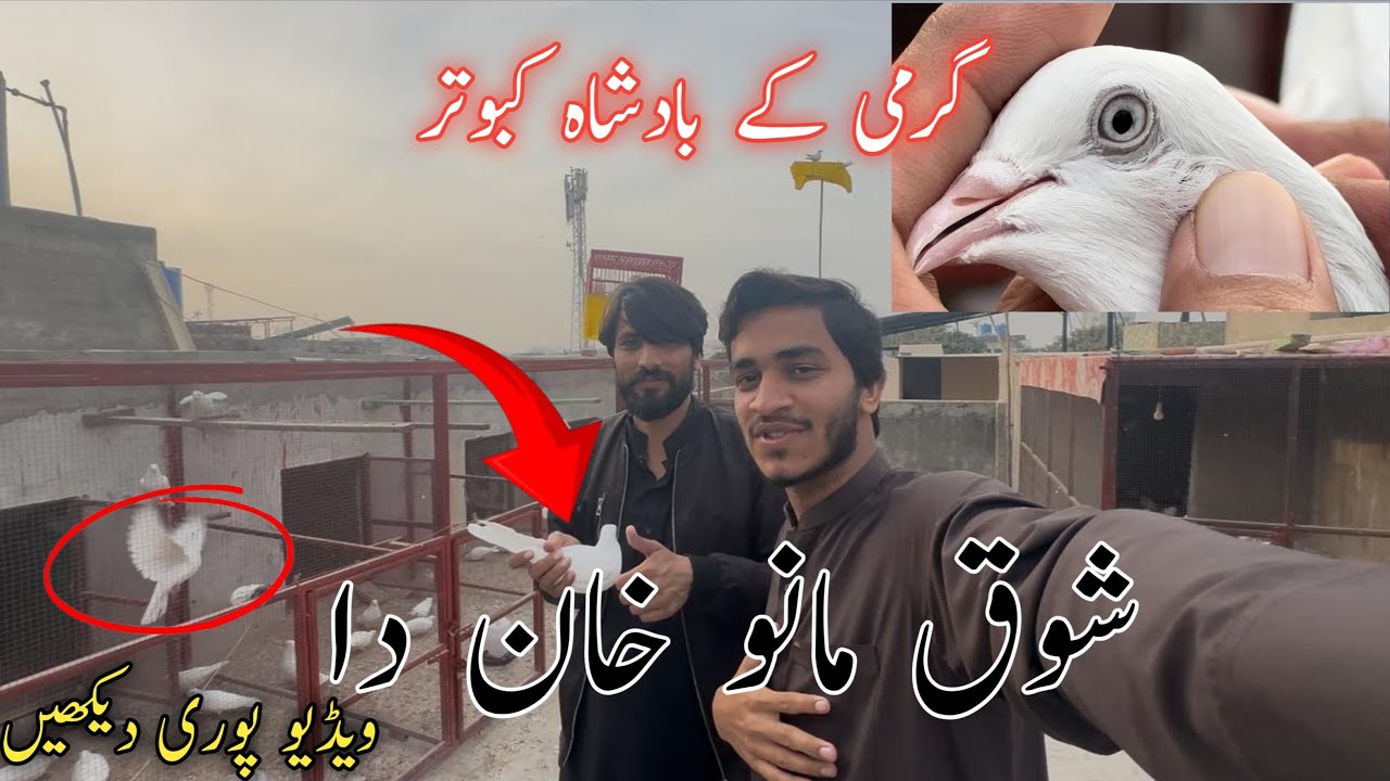 GARMI KA BADSHAN KOBATAR || MANO KHAN DA SHOK || M Hanan Yasin || 