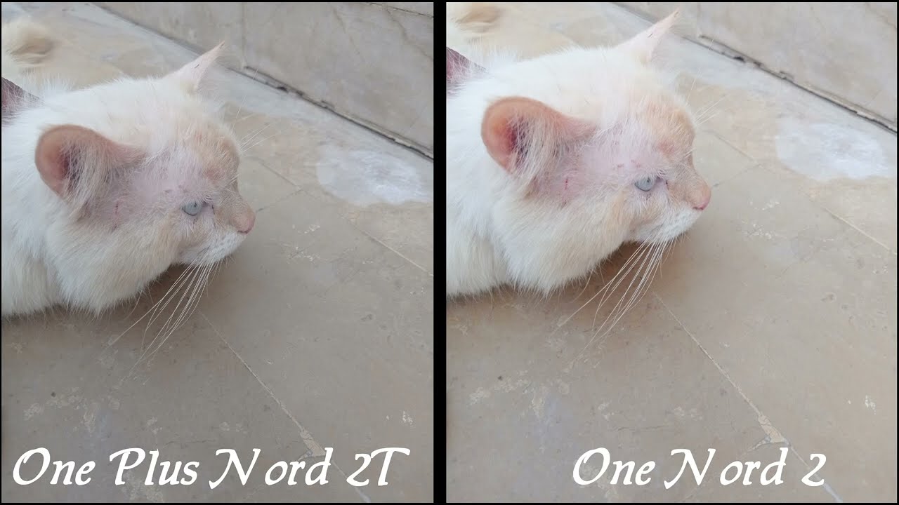 One Plus Nord 2T VS One Plus Nord 2 Camera Test