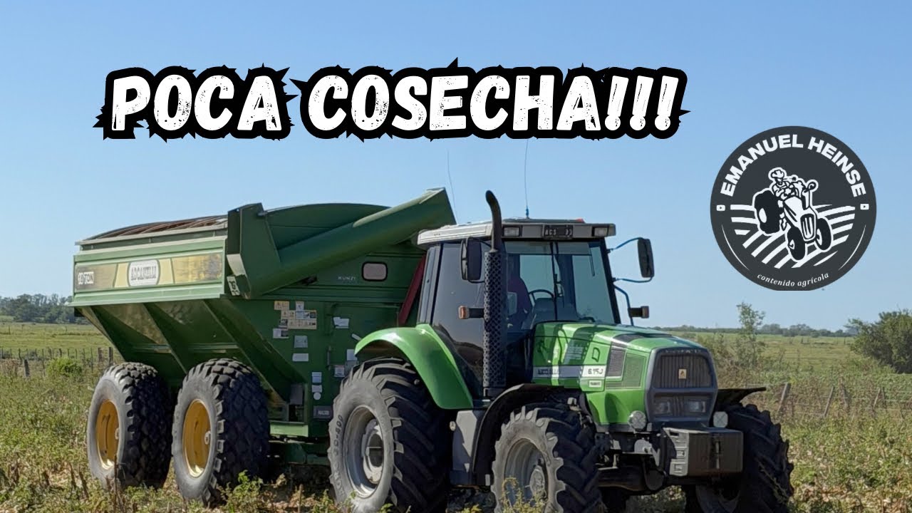 EN MARCHA LAS 3 MÁQUINAS COSECHANDO MAÍZ 