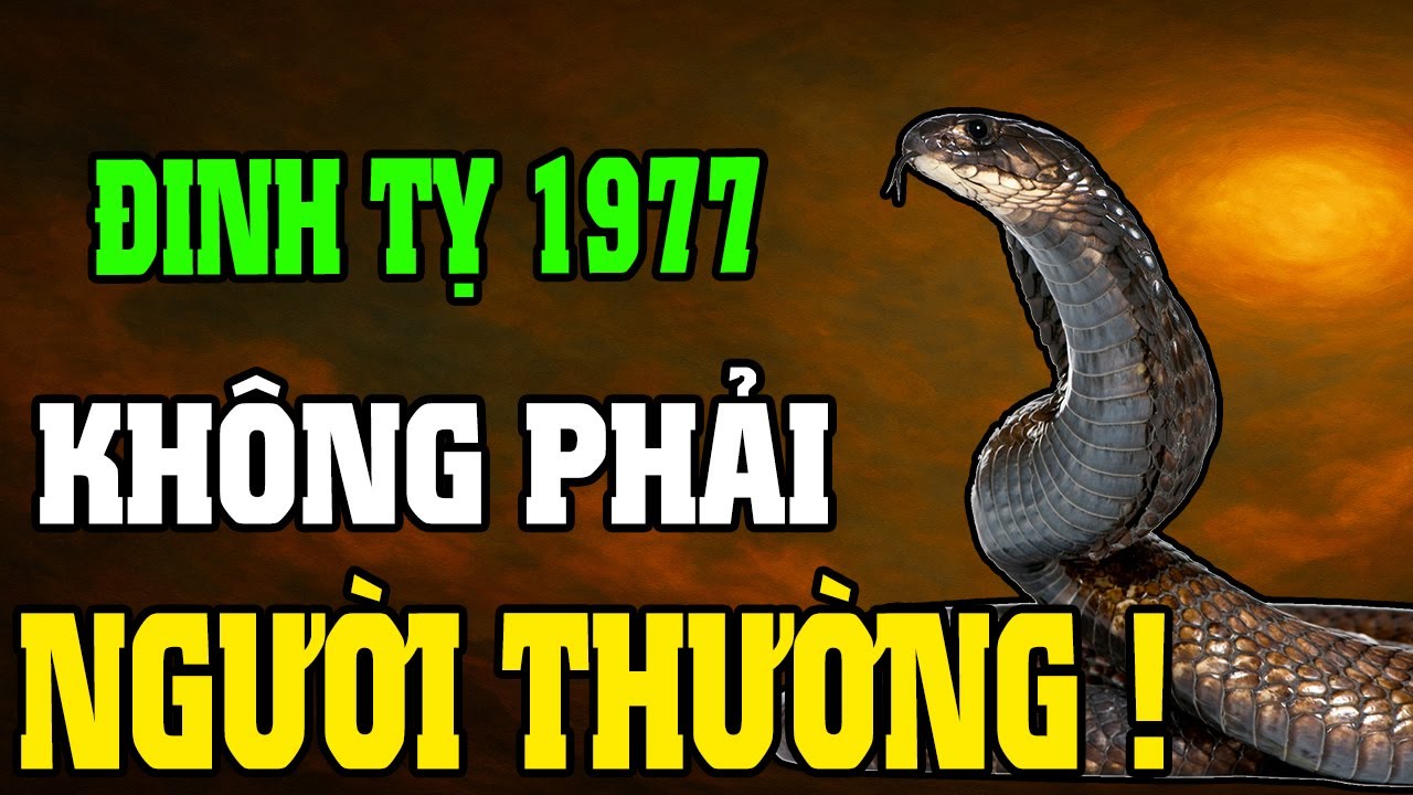 Đinh Tỵ 1977–Cuộc Đời Khổ Vì Có Căn Trả Nghiệp, Nhưng Hậu Vận Là Đại Phúc Nếu Hiểu Được 7 Điều Này