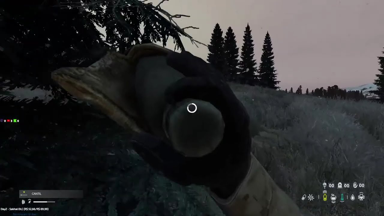 Operação Caça aos Vivos — Sniper em Namalsk! !pix