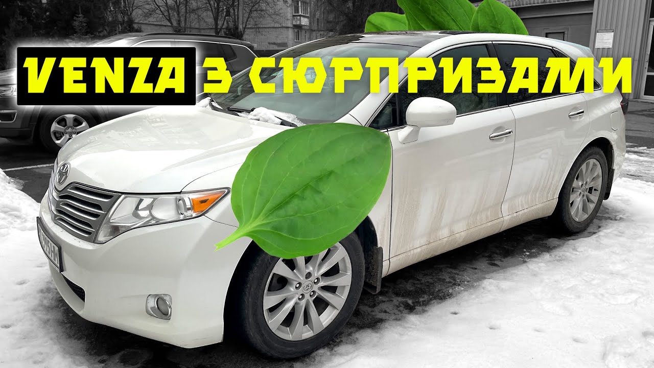 Розгадуємо секрети TOYOTA VENZA разом 🤔