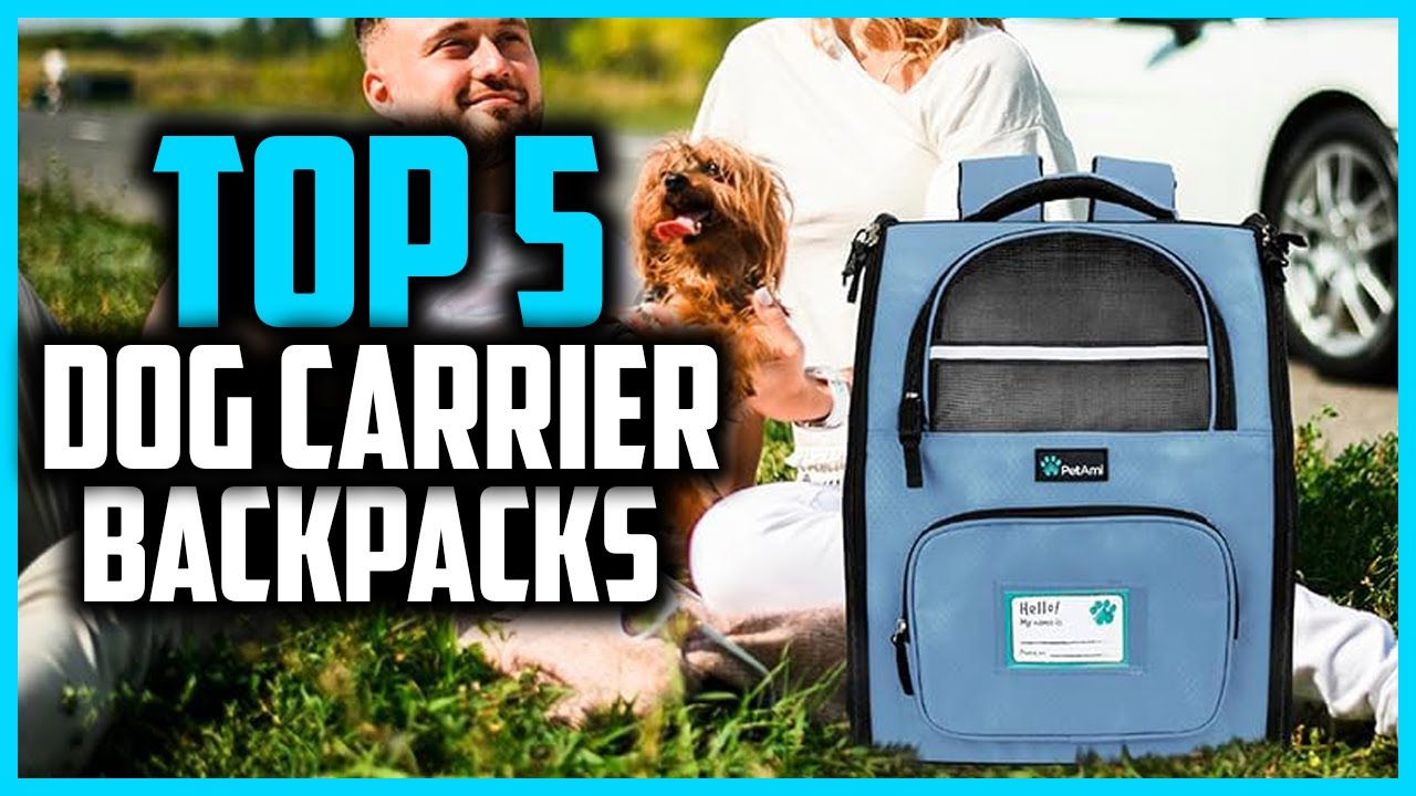 ✅ The 5 Best Dog Carrier Backpacks of 2025