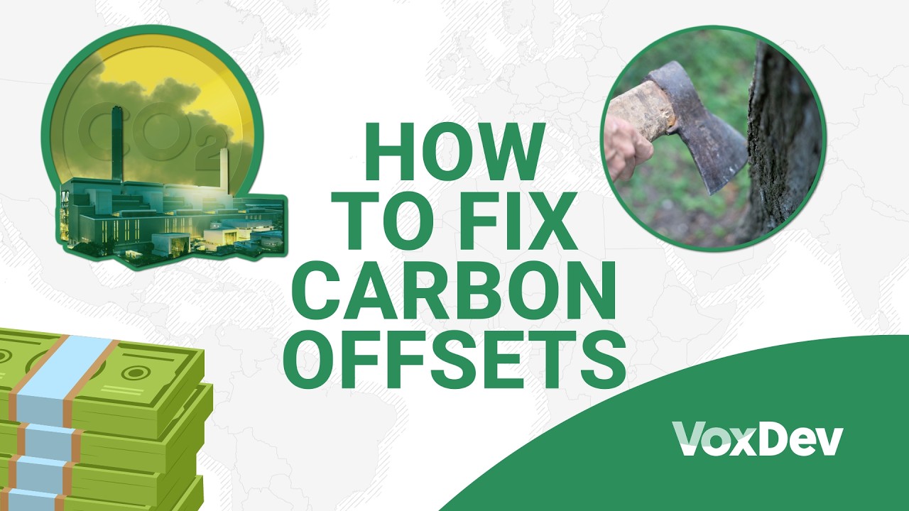 Carbon offsets are broken. Economists have a solution.