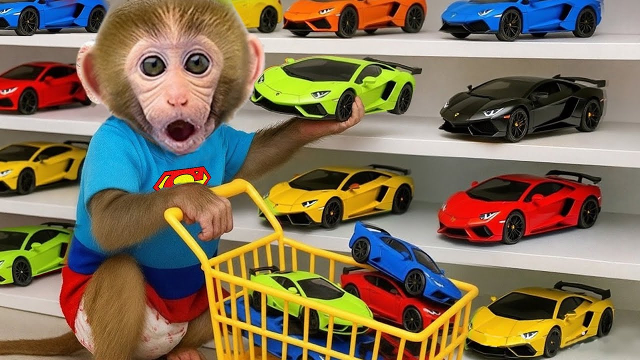 Monkey BonBon w ulewie odkrywa arbuzy płynące z nurtem jak małe dary natury – Monkey Poland