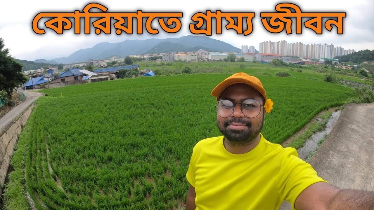 কোরিয়াতে গ্রাম্য জীবন | Village Life in South Korea