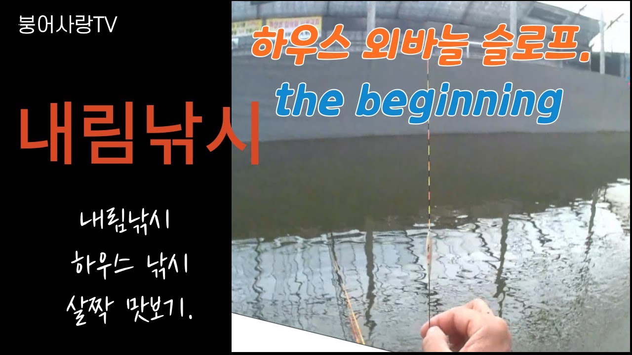 내림낚시 하우스낚시 살짝 맛보기.