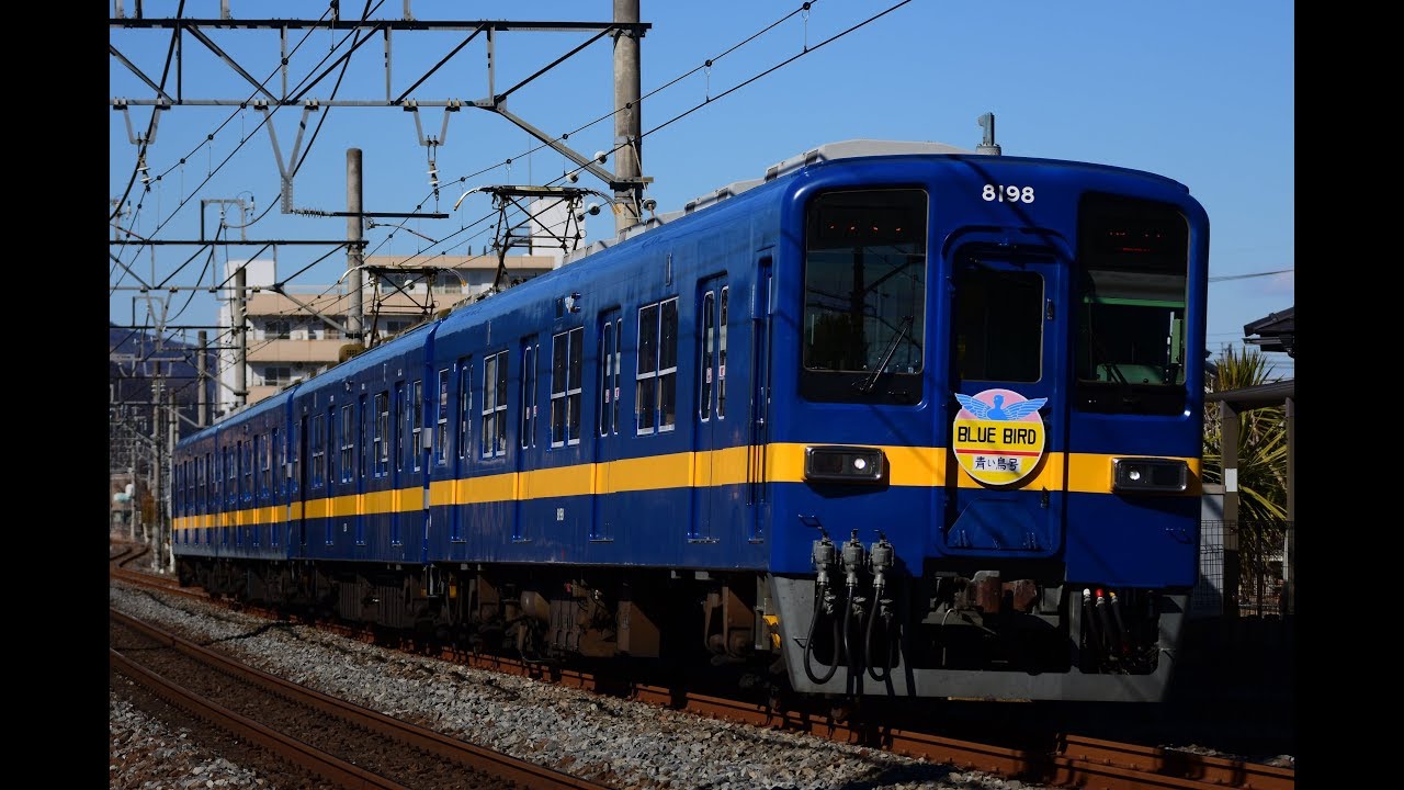 8198F青い鳥号HM 越生線走行
