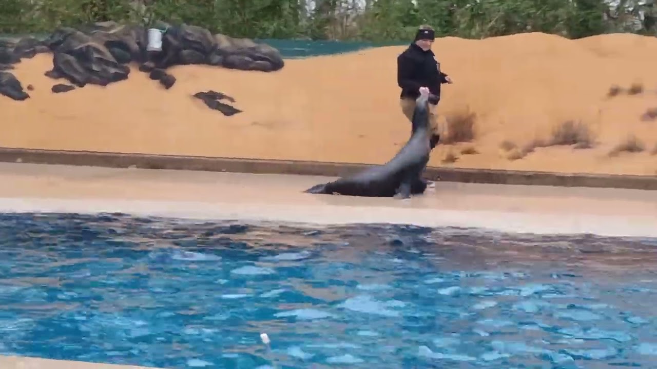 Partie 2 sortie du zoo