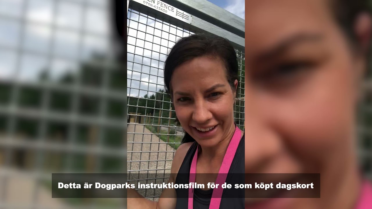 Dogpark avsnitt 1 - Bygget
