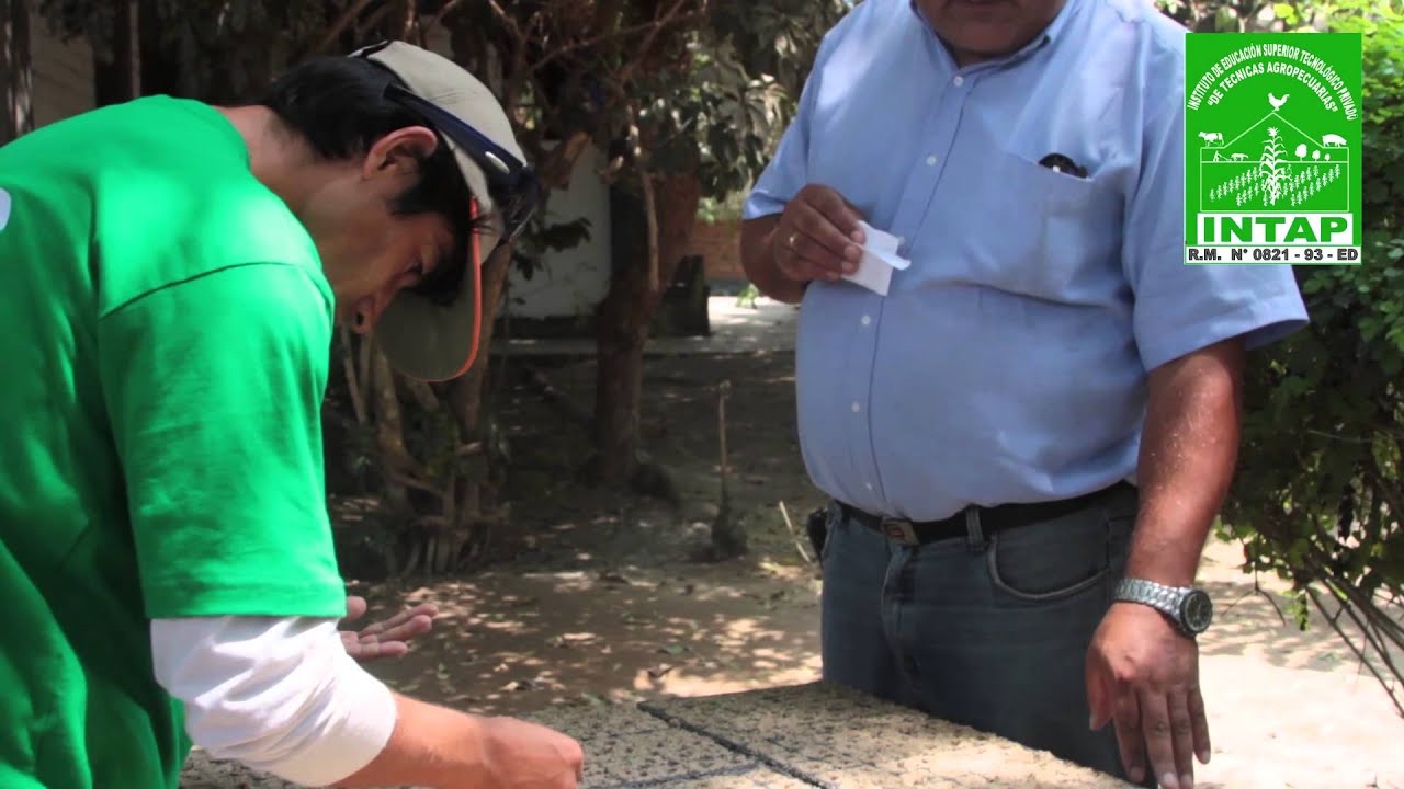 Producci&oacute;n Agropecuaria - Estudia en INTAP