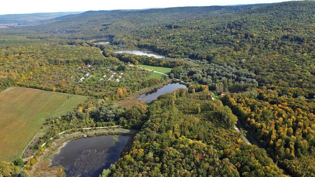 Rezervația Naturală - Plaiul Fagului / Natural Reserve - Plaiul Fagului / Заповедник - Плаюл Фагулуй