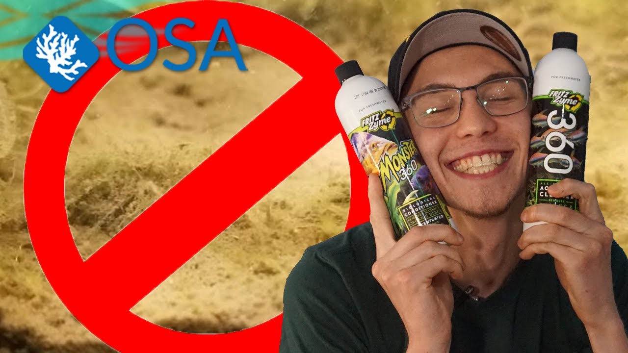 Easily Reduce Harmful Aquarium Sludge!
