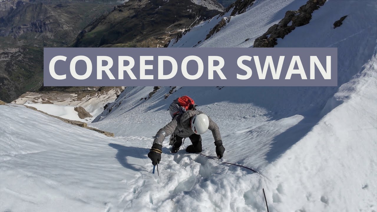 Corredor Swan