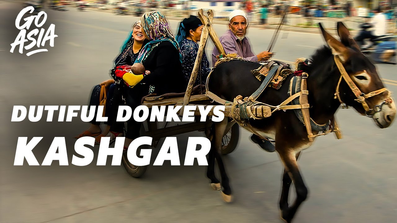 The Last Donkey Carts of Xinjiang? | Documentary - HR