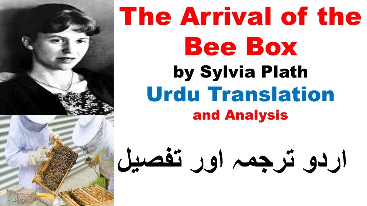 The Arrival of the Bee Box by Sylvia Plath Translation #TheLiteraryLinguist