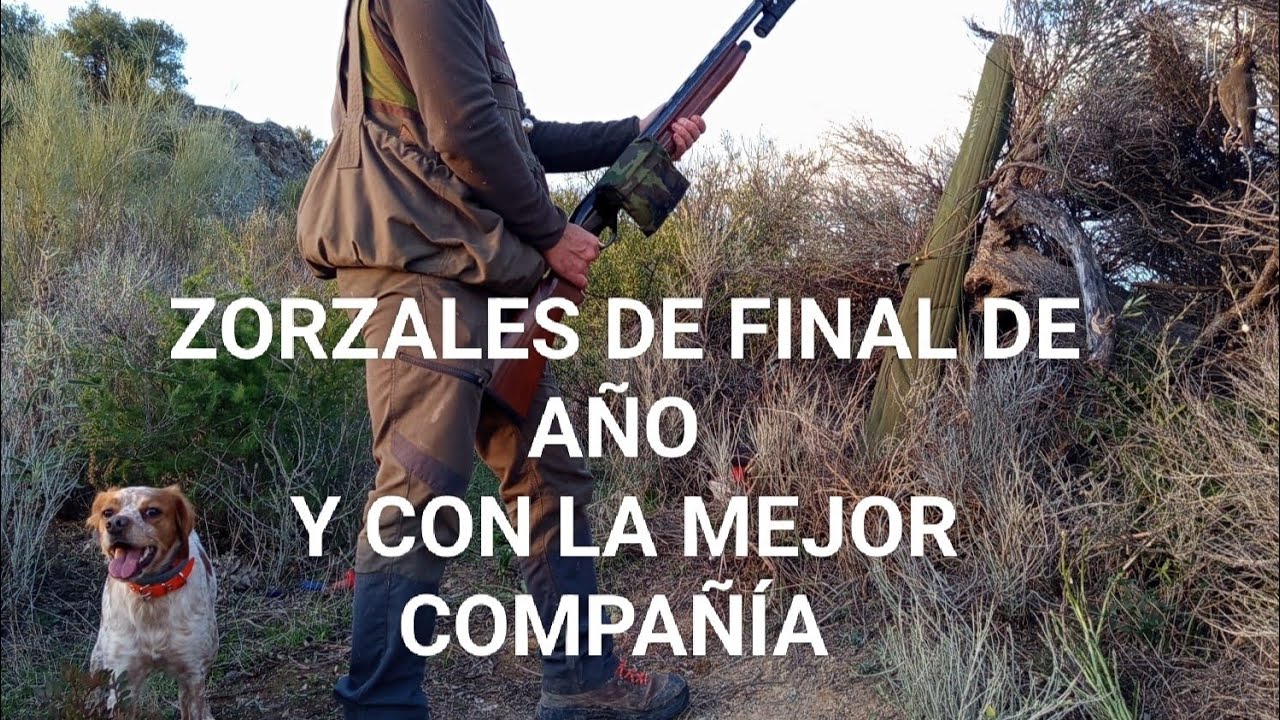 Zorzales de final de año