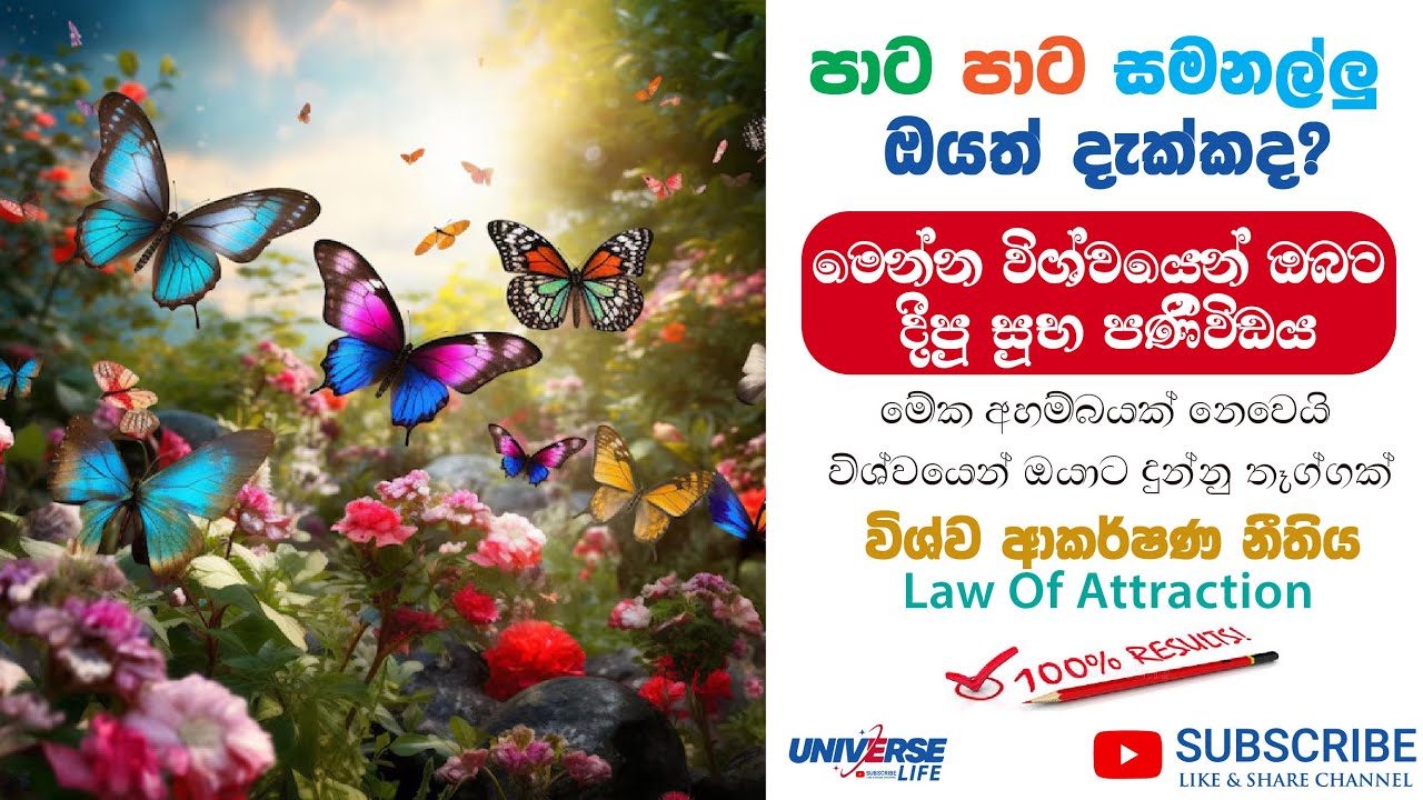 පාට පාට සමනල්ලු ඔයත් දැක්කද? මෙන්න විශ්වයෙන් ඔබට දීපු සුභ පණිවිඩය Law Of Attraction@universewithinlife92