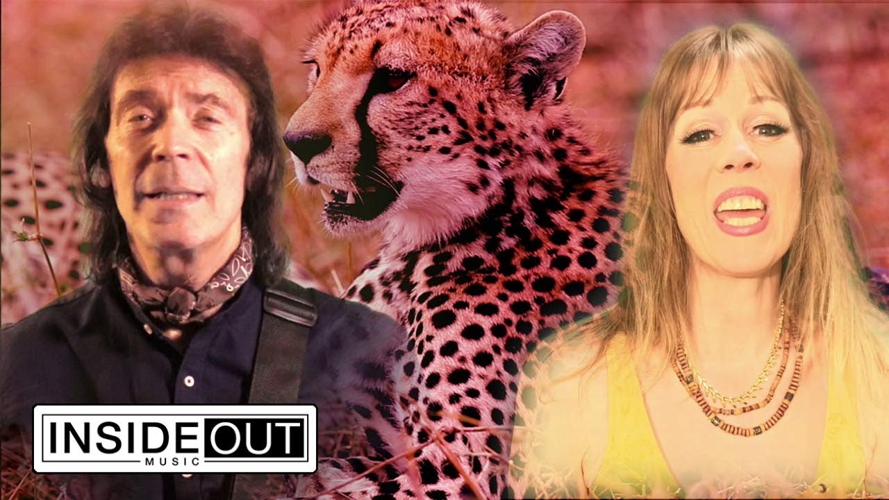 STEVE HACKETT - Wingbeats (OFFICIAL VIDEO)