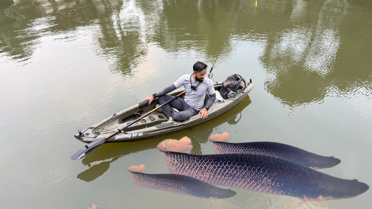 🔥Is this the Arapaima in the river?? Oh my God&hellip; | Adventures Snakehead Fishing in Kerala