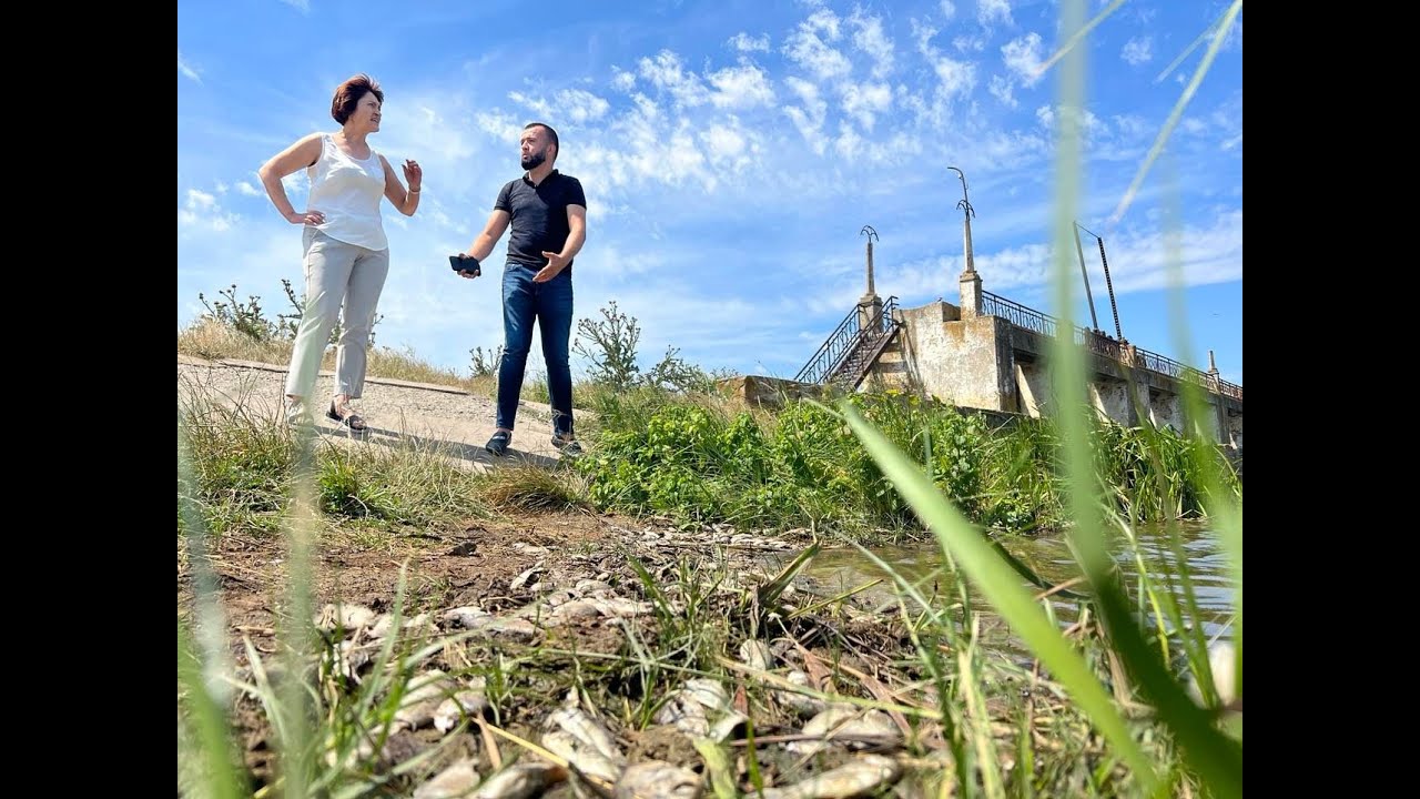 DEZASTRU ECOLOGIC PE RÂUL RĂUT