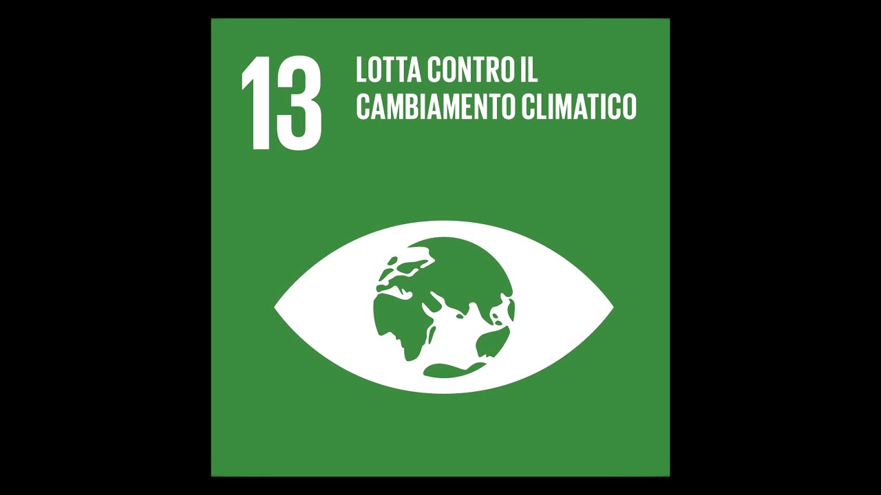 LOTTA CONTRO IL CAMBIAMENTO CLIMATICO. SDGS Studenti obiettivo 13