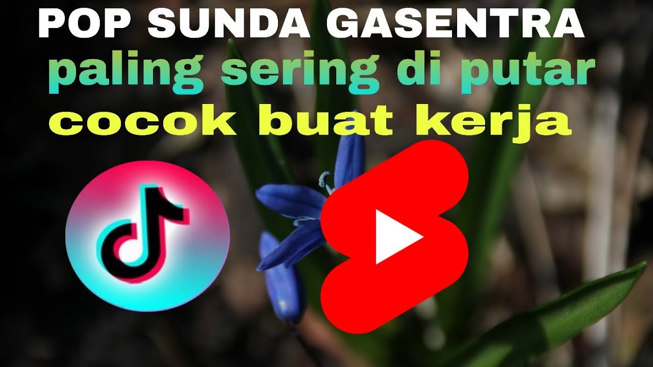 Suara merdu jernih pas buat nyantai dan kerja pop sundaan‼️ paling sering di putar
