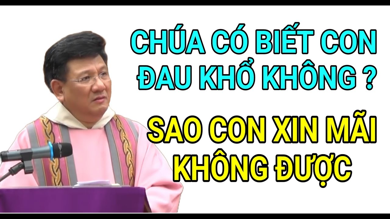 THIÊN CHÚA CÓ BIẾT CON ĐANG ĐAU KHỔ KHÔNG MÀ CON CẦU XIN MÃI CHƯA ĐƯỢC | LM VŨ THẾ TOÀN THUYẾT GIẢNG