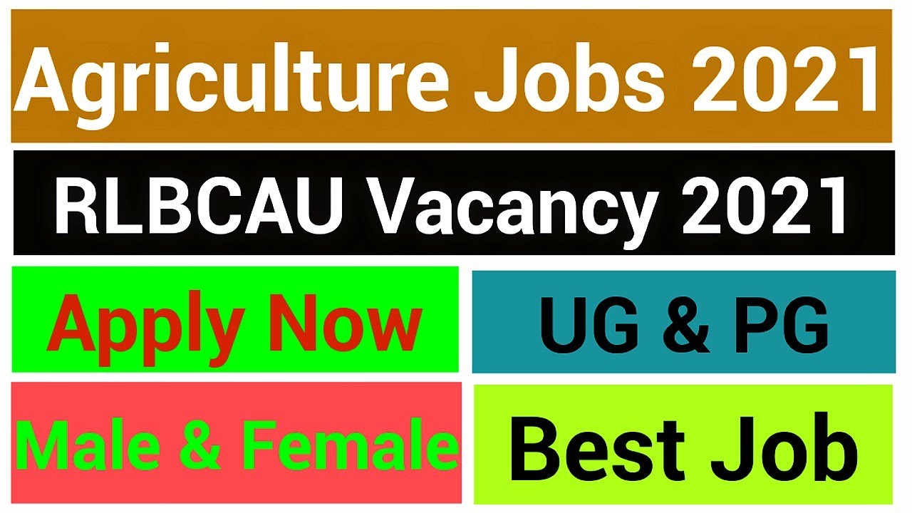 🔥🔥Jobs for Graduates & PG  || RLBCAU vacancy 2021 || Apply Now || Male & Female
