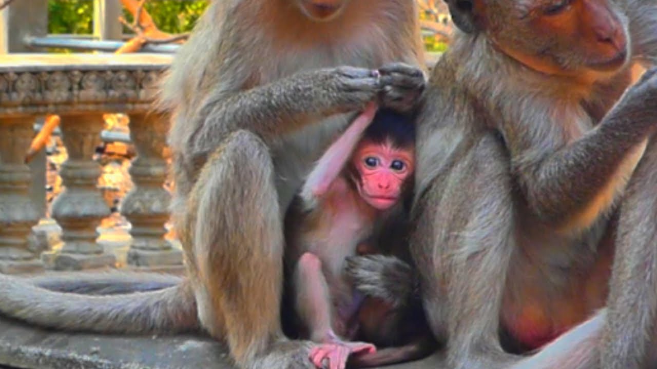 MARILY, a young mother with no experience in childcare.
