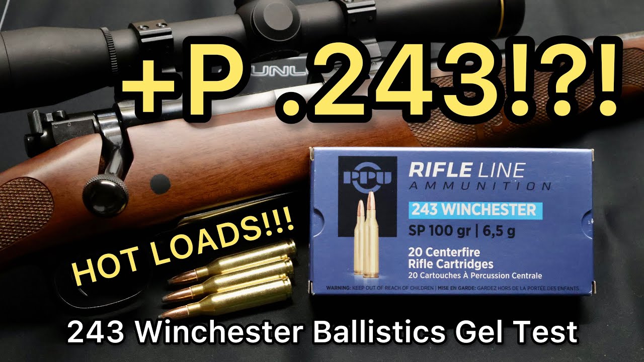 ПОЧУВСТВУЙТЕ МОЩЬ!! Тест патронов 243 Winchester PPU 100gr