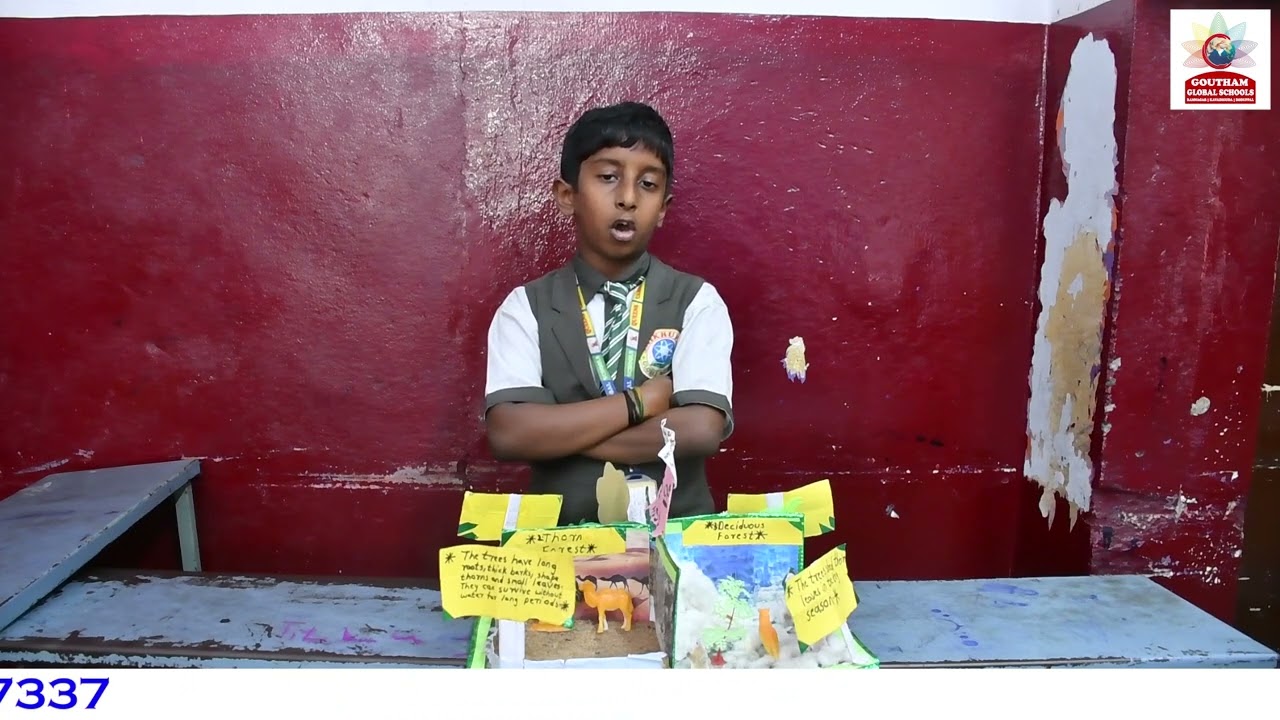 TYPES OF FOREST SCIENCE FAIR PROJECT WORK | GOUTHAM GLOBAL SCHOOL #camritz #goutham #queens