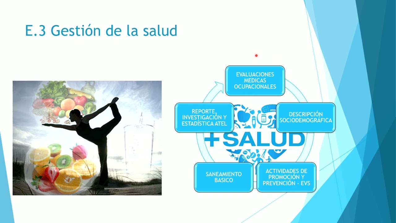 INDUCCIÓN SISTEMA DE GESTIÓN EN SEGURIDAD Y SALUD EN EL TRABAJO 2026