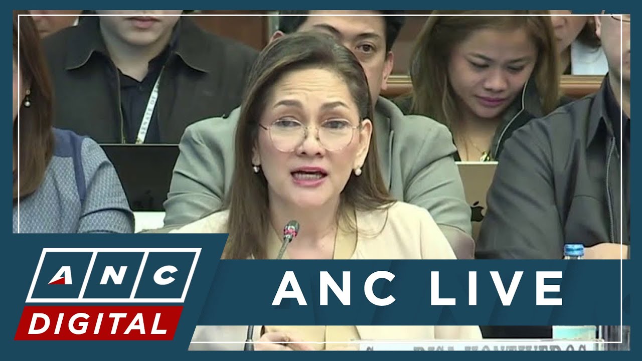 MOMENT: Hontiveros questions DPWH on fire at Records Room of DPWH CAR | ANC
