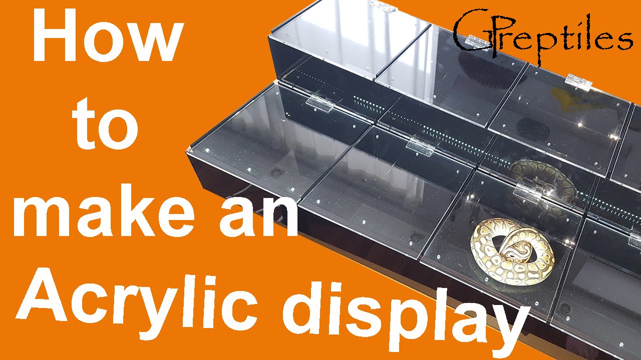 How to build an Acrylic Display for Reptile Shows!