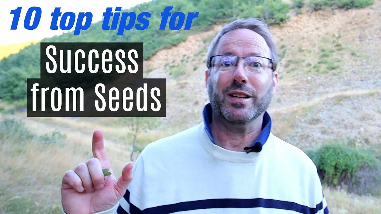 Bonsai from seed  |  How to plant acorns and ensure successful oaks