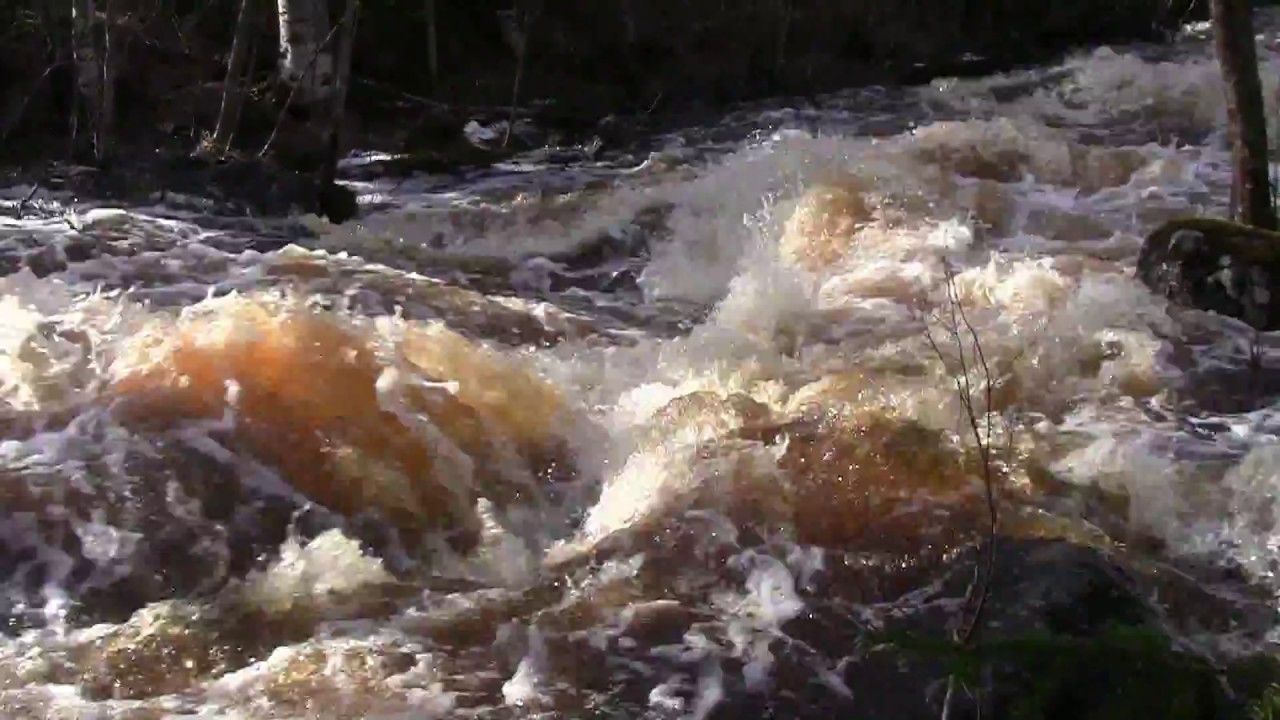 Palopuro, Ulkkajoki - Tulvahuippu 7.5.2018 (Lieksa)